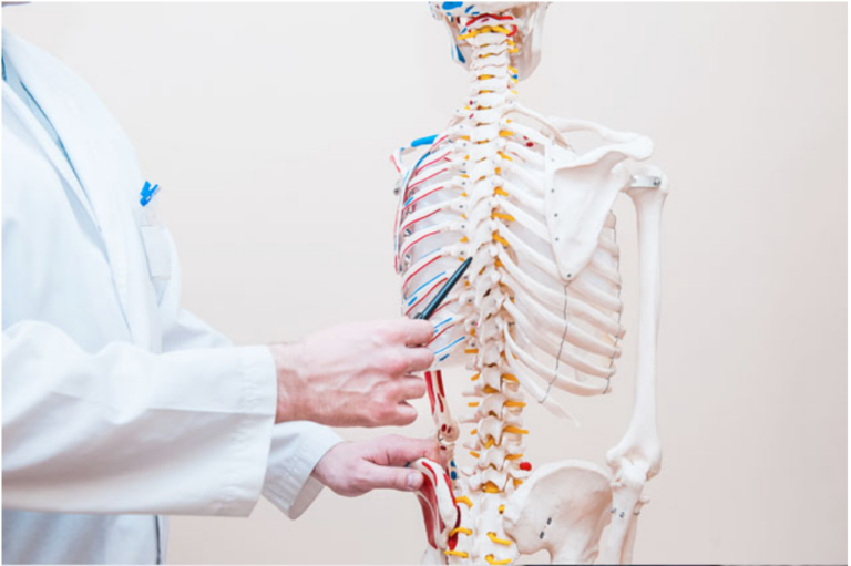 Chiropractic Care