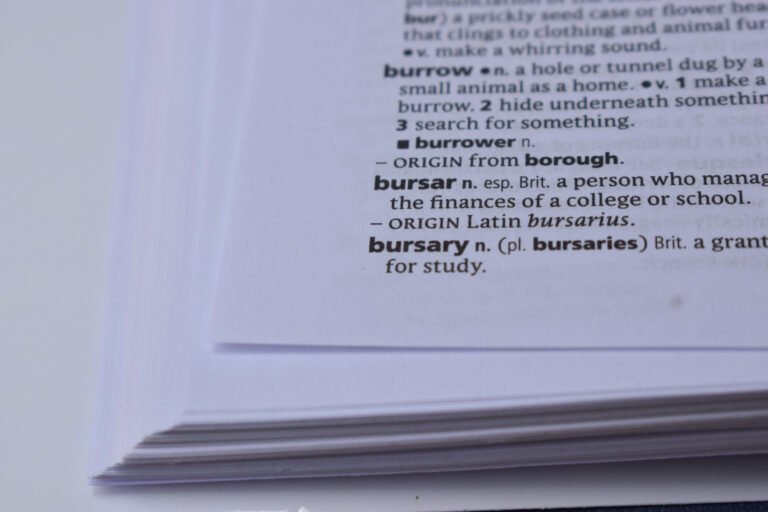 White dictionary page with black text; text says "bursar n. (esp. British): a person who manages the finances of a college or school"