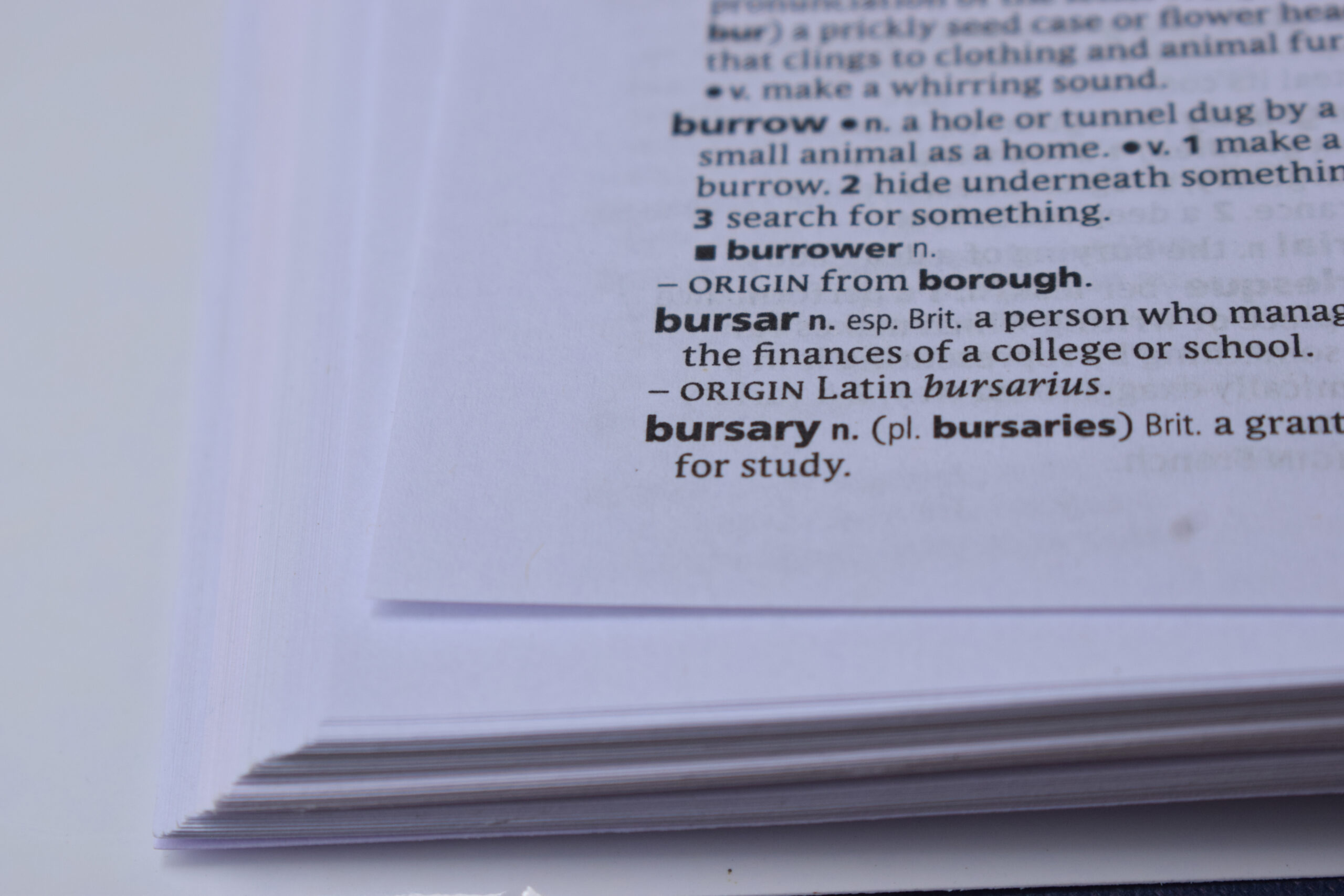 White dictionary page with black text; text says "bursar n. (esp. British): a person who manages the finances of a college or school"